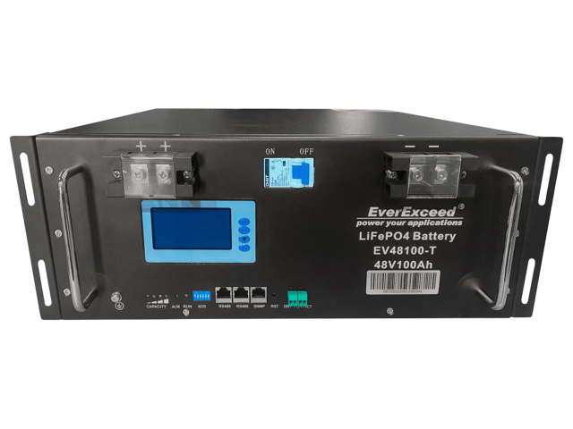 EverExceed EV48100-T_1
